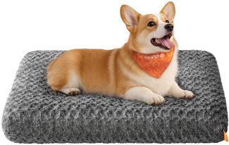 Feandrea Hundebett, Hundekissen L, für mittelgroße Hunde, flauschige Hundematte, Plüsch, 95 x 60 cm, weiche Polsterung, waschbar, rutschfest, schiefergrau