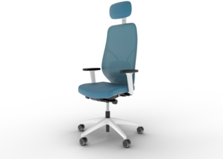 Ergotopia MasterBack Style L, ergonomisch inkl. Synchronmechanik, verstellbarer Kopfstütze & 3D+ Armlehnen, Blau / Weiß