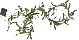 LED Outdoor Girlande Olivec 20 LEDs Olivenzweig mit Timer 180cm