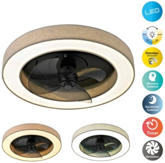 OTTO home LED Deckenleuchte Deckenventilator Vittor, CCT - über Fernbedienung, Dimmfunktion, Memoryfunktion, Nachtlichtfunktion, Ventilatorfunktion, mehrere Helligkeitsstufen, LED wechselbar, warmweiß - kaltweiß, inkl. Ventilator, dimmbar, CCT, Memory,...