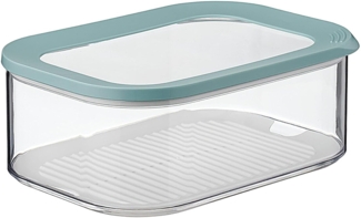 Mepal | Modula Käsedose | 2000 ml | Nordic Green | Kühlschrankdose für Käse | Antikondenseinsatz | spülmaschinenfest