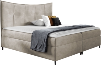 Boxspringbett 'Gaduno', Beige, 200x200 cm, ohne Fußende