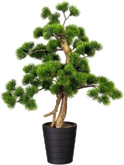Kunstbonsai Bonsai Kiefer Bonsai Kiefer, Creativ green, Höhe 60 cm