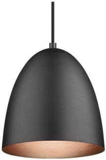 Halo Design No. 736713 LED Pendelleuchte THE CLASSIC schwarz gebürstet Ø 30