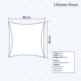 Heidelberger Bettwaren Kopfkissen 80x80 cm, Made in Germany | Kissen mit Überzug und Reißverschluss | Kapok-Füllung, hypoallergen, vegan | Serie Kanada