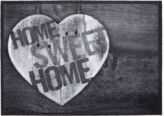 Andiamo Fußmatte Rinaldo, Made in Belgium, rechteckig, Höhe: 10 mm, Schmutzfangmatte, verschiedene Motive, rutschhemmend, waschbar