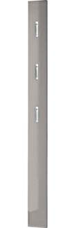 Germania Garderobenpaneel 3255-186, mit DREI ausklappbaren Kleiderhaken aus Metall, in Grau Hochglanz, 15 x 170 x 3 cm (BxHxT)