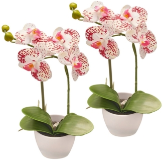 Kunstorchidee Orchidee Phalaenopsis, Creativ green, Höhe 33 cm, im Design-Topf