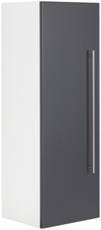 Hochschrank SANTINI 100cm weiss matt mit Tür anthrazit : Anthrazit