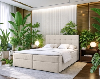 AX LIVING Boxbett Merea Boxspringbett Grau mit Bettkasten 160x200 cm