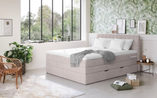 COTTA Boxspringbett Shark inkl. Bettkasten und Topper, erhältlich in den Breiten 140x200cm, 160x200cm und 180x200cm