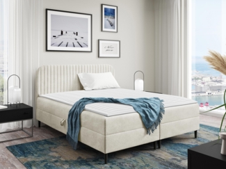 Boxspringbett Briheg 1 (Farbe: Coral 15, Größe: 160 x 200)