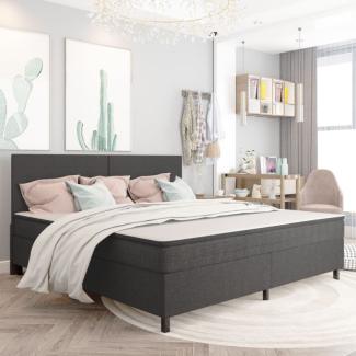 vidaXL Boxspring-Bettgestell Grau Stoff 200x200 cm [287467]
