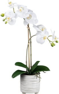Kunstorchidee Orchidee Phalaenopsis Orchidee, Creativ green, Höhe 50 cm, mit real-touch-Blüten