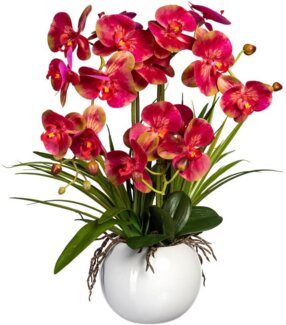 Kunstorchidee Phalaenopsis Orchidee Phalaenopsis, Creativ green, Höhe 58 cm, im Keramiktopf