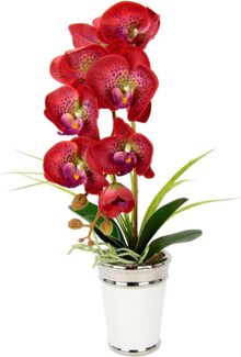 Kunstblume Orchidee, I.GE.A, Höhe 52 cm, im Topf, aus Keramik, Seidenblume Real Touch