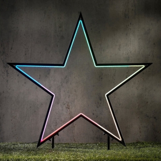 edelman LED Stern Garden d light Neon Gartenstecker schwarz, LED fest integriert