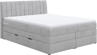 COTTA Boxspringbett Shark inkl. Bettkasten und Topper, erhältlich in den Breiten 140x200 cm, 160x200 cm und 180x200 cm