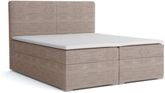 Deine Möbel 24 Boxspringbett LOFT III Boxspring Komplettbett Polsterbett Bonellfederkernmatratzen (Schwarz Graphit, 3-St, Boxbett Cord Cord-Samt 120x200 140x200 160x200 180x200 200x200), inkl. Bettkasten Topper Matratzen H3 H4 Beige Creme Grau