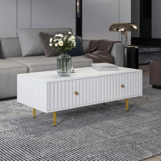 radelldar Couchtisch Wohnzimmertisch, Breite 110 cm (1 Tisch), Kaffeetisch, Sofatisch mit 2 Schubladen und Metallfüßen