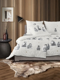 Irisette Biber Bettwäsche Panda 155x220 Pinguine Sterne beige grau 8645-80