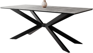 Esstisch Frolen (Farbe: Beton / Schwarz)