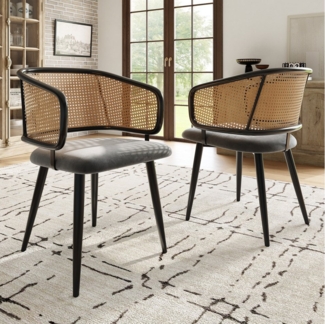 Flieks Esszimmerstuhl (Set, Eisengestell, 2 St), 2er Set Polsterstühle mit Armlehnen Rattanstuhl Samt Wohnzimmer
