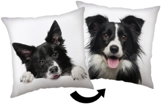 Border Collie Kopfkissen (1 Stück) Premium Dekokissen mit beidseitigem Digitaldruck