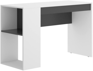 Dmora Arianella Schreibtisch, Mehrzweckschreibtisch für Büro oder Schlafzimmer, linearer Arbeitstisch mit Regalen, 115 x 50 x 74 cm, Weiß und Anthrazit