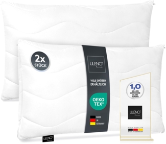 LILENO HOME Kopfkissen 30x50 cm [2er Set] als Kissen-Füllung - Bett oder Deko Kissen mit Reißverschluss zum Anpassen - Waschbar bis 95° - Sofa-Kissen & Zierkissen für Couch/Bett