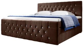 Boxspringbett Nobile mit Strass und Stauraum Braun 160x200 H2