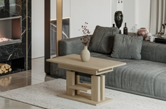 Endo-Moebel Couchtisch Endo Couchtisch Iso 110 / 170 höhenverstellbar erweiterbar Farbauswahl