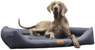 WILLIAM EASY CLEAN Orthopädisches Hundebett - 02 Graphit, 130x100cm