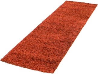 Shaggy Teppich LIFE TERRA 80 X 250cm Läufer