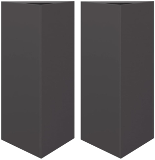 vidaXL Pflanzkübel 2 Stk. Schwarz Dreieckig 40x34,5x70 cm Stahl 851158
