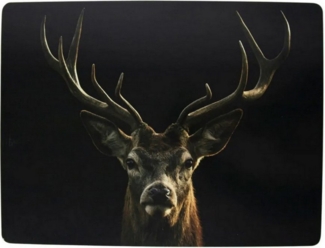 Hakbijl Glass Platzset, Farbe: Mehrfarbig, Motiv: Hirsch