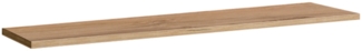 Wandregal Switch PW2 in Wotan 120 cm Breit