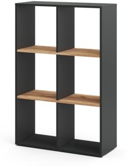 Vicco Raumteiler Anthrazit/Goldkraft Eiche 72x107.8 cm, Karree