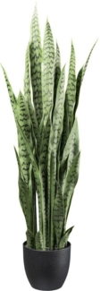 Künstliche Zimmerpflanze Sanseveria Grünpflanze, Creativ green, Höhe 11 cm, mit detailgetreuen Blättern