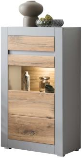 Vitrine Glasvitrine Casablanca 66x35x113cm Platingrau Zinneiche 1-türig