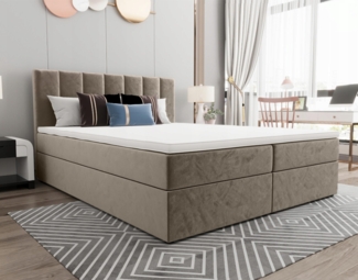 AX LIVING Bett kaufen 180x200 Benetutti Beige – Boxspringbett Samt mit Bettkasten