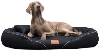 tierlando® Tierbett Orthopädisches Hundebett TIFFANY EASY CLEAN, Kunstleder, allergikergee, 100% Polyurethan, Herausnehmbare Matratze, Flacher Einstieg, Formstabiler Memory Foam