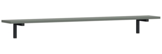Lomadox Wandregal PARMA-129, in grün-grau, 1 Ablageboden, ca. 120 cm breit