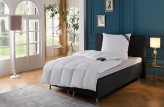 Excellent Daunenbettdecke + 3-Kammer-Kopfkissen Davos, Füllung: Bettdecke: 100% Gänsedaunen, Bezug: 100% Baumwolle, Bettdecken-Set mit Kopfkissen, Bettdecke 135x200 und 155x220 cm