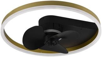 LED Deckenventilator, schwarz, dimmbar, Fernbedienung D 50 cm