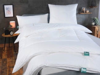 f.a.n. Frankenstolz Faserdecke Vierjahreszeiten-Steppbett First Class (Größe: 155x220 cm)