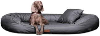 LENNART EASY CLEAN Orthopädisches Hundesofa - 02 Graphit, 140x105cm