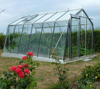 ACD Glas Gewächshaus S106H-B | Silber |