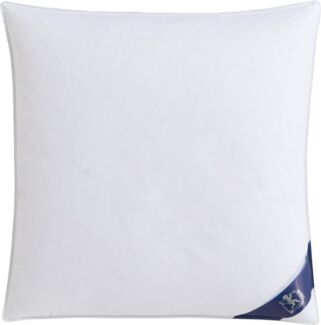 SPESSARTTRAUM Gänsefederkopfkissen Premium, Kopfkissen 1-tlg. oder 2-tlg. 40x80 oder 80x80 cm, Füllung: 70% Gänsefedern, 30% Gänsedaunen, Bezug: 100% Baumwolle, hergestellt in Deutschland, allergikerfreundlich, im Set günstiger