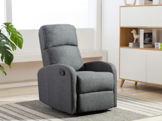 Vente-unique - Relaxsessel Fernsehsessel - Stoff - Anthrazit - ISAO